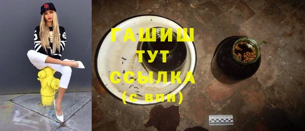 прущие грибы Новозыбков