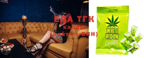 прущие грибы Новозыбков