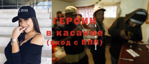 прущие грибы Новозыбков