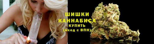 прущие грибы Новозыбков