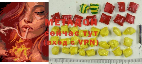 прущие грибы Новозыбков