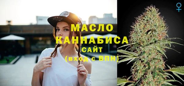 прущие грибы Новозыбков