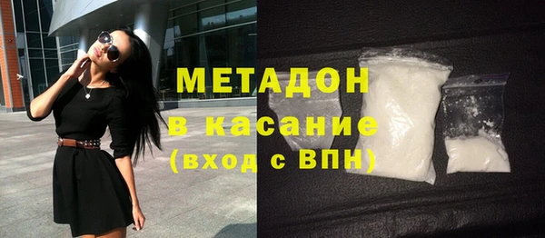 прущие грибы Новозыбков