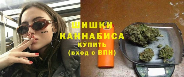 прущие грибы Новозыбков