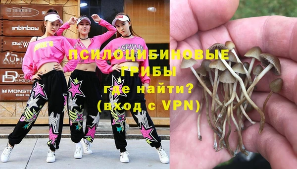 мдпв Бикин