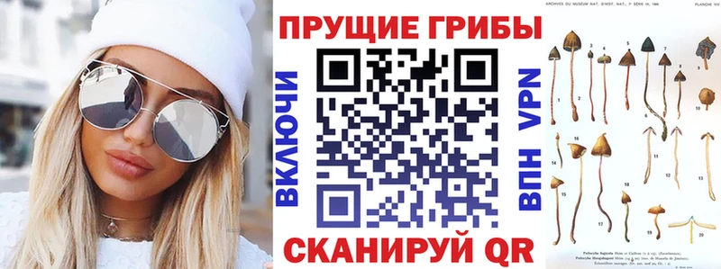 Псилоцибиновые грибы мухоморы  Тарко-Сале 